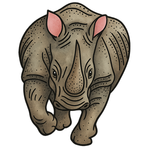 leonardo miranda rino ramos